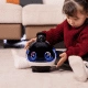 Enabot EBO X family robot